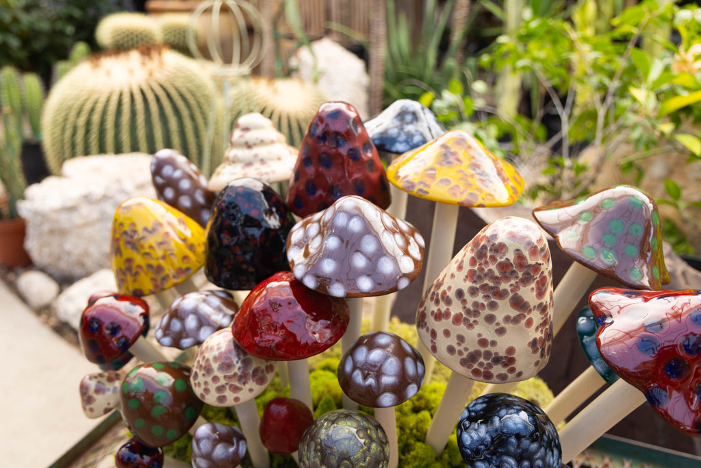 Natural Variety Pack