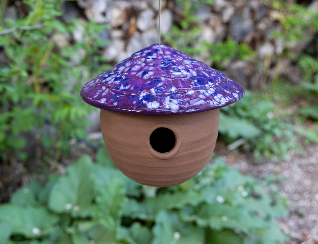 Gourd Birdhouse-Grape Goodness