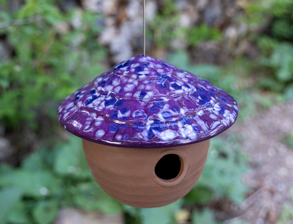 Gourd Birdhouse-Grape Goodness