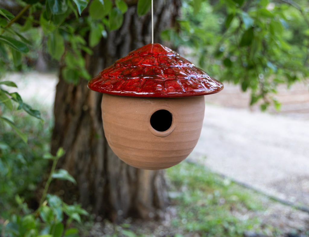 Gourd Birdhouse-Huckleberry