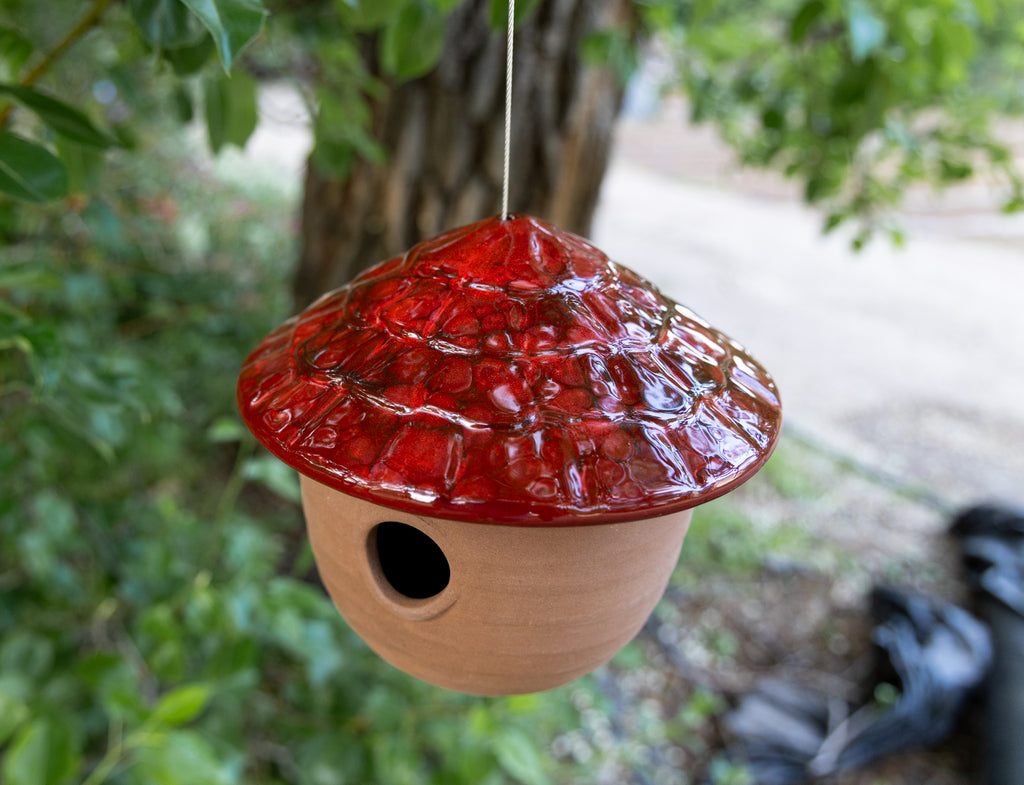 Gourd Birdhouse-Huckleberry