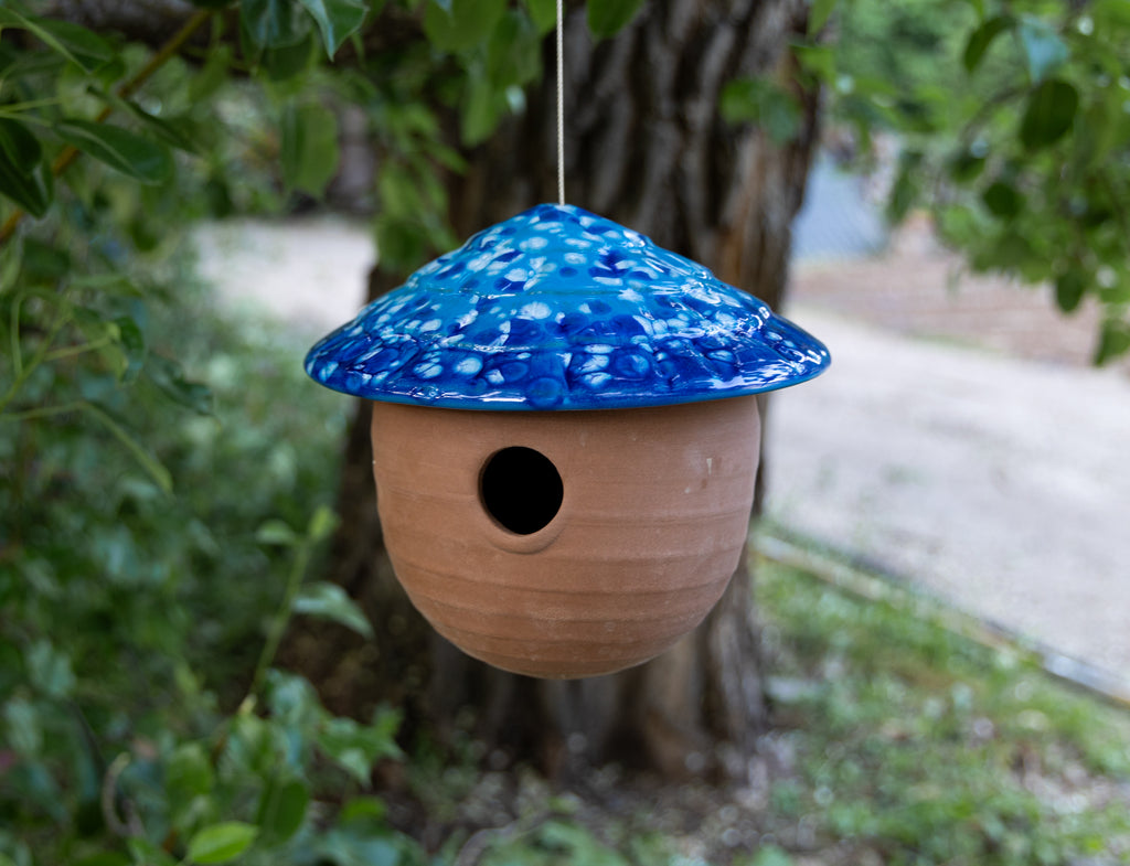 Gourd Birdhouse-Frosty Blue