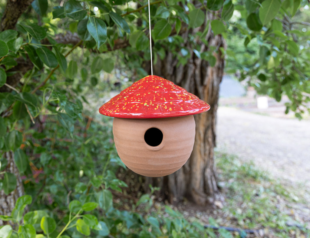 Gourd Birdhouse-Firecracker