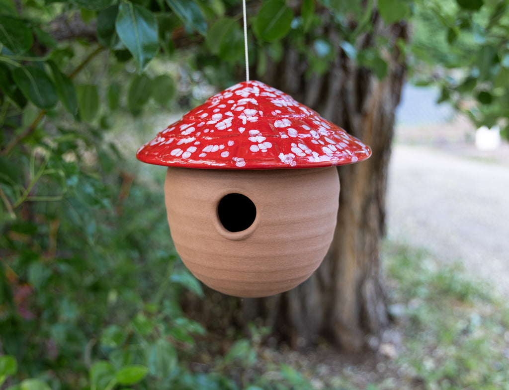 Gourd Birdhouse-Lunar Lava