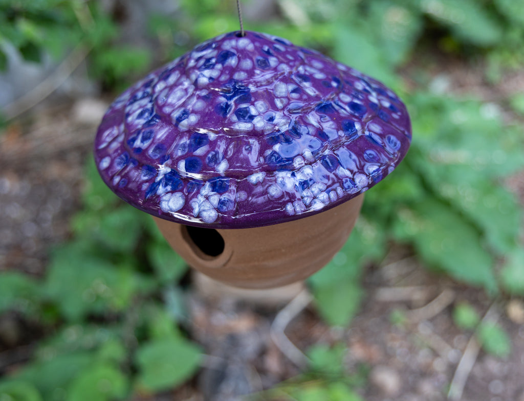 Gourd Birdhouse-Grape Goodness