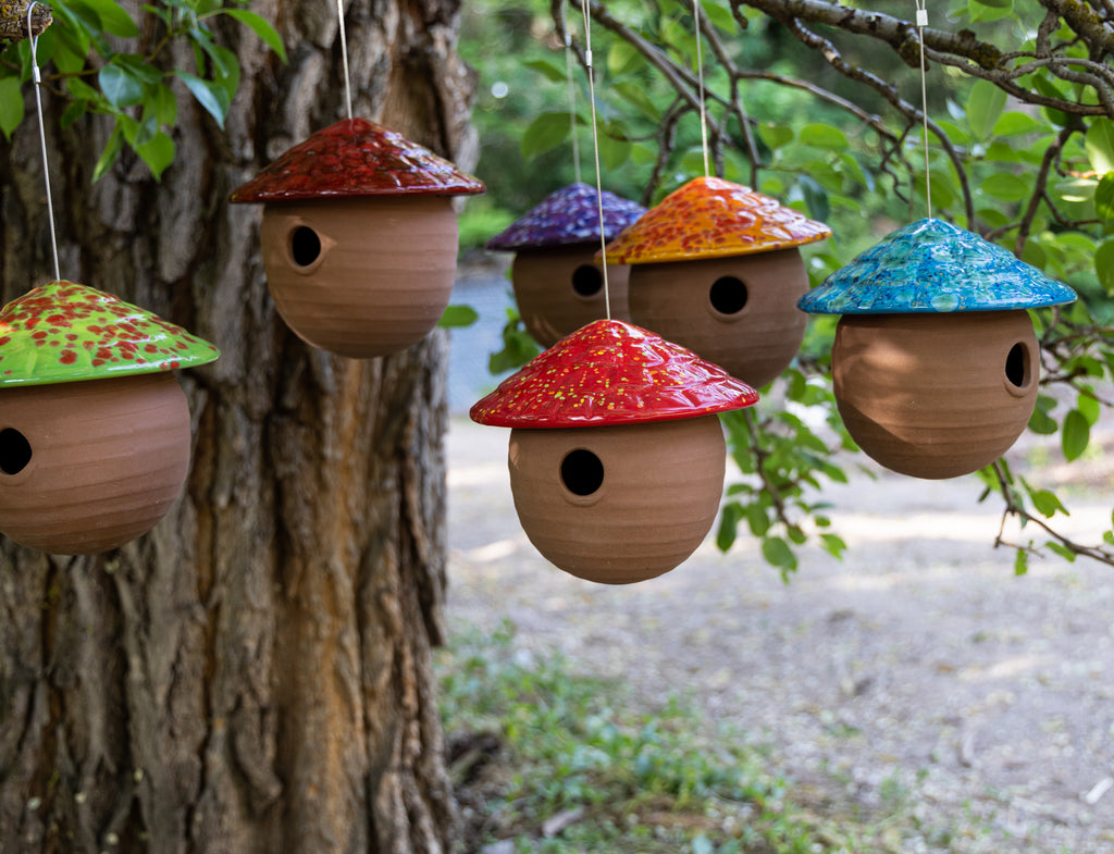 Gourd Birdhouse-Blue Caprice