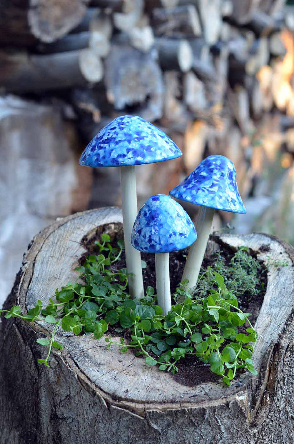 Frosty Blue - Plum Scrumptious - 4