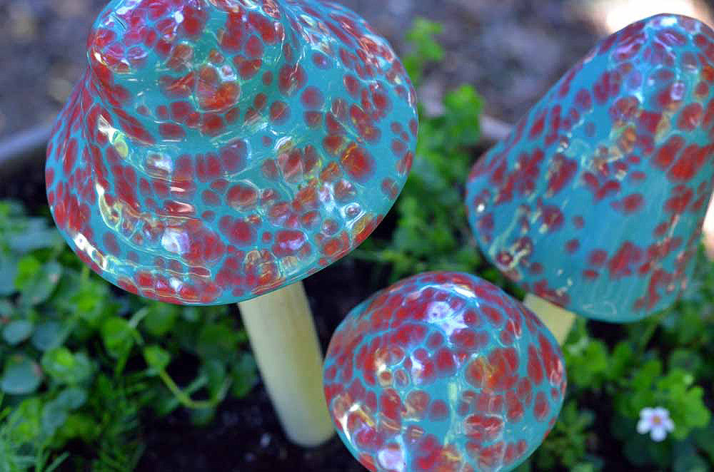 Blue Raspberry - Plum Scrumptious - 5