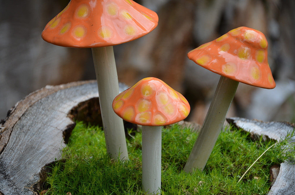 Mushroom Toadstool Autumn Art Print – Studio Q - Art by