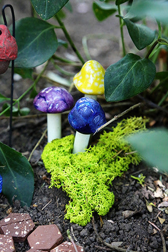 Fairy Shroomyz - Plum Scrumptious - 6