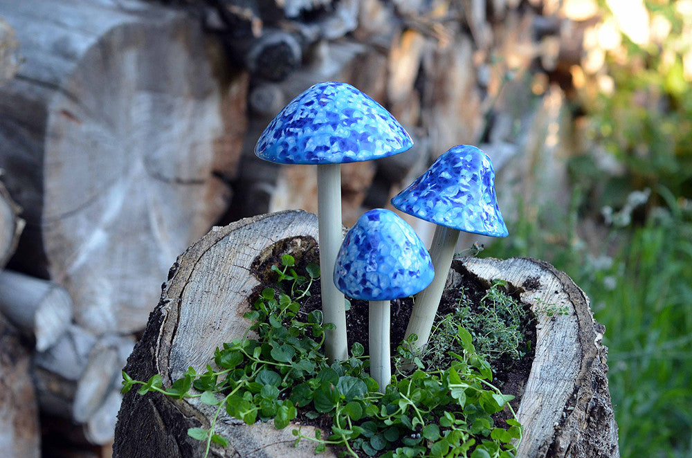 Frosty Blue - Plum Scrumptious - 3