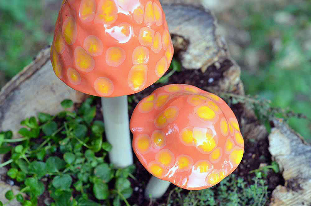 Fuzzy Peach - Plum Scrumptious - 2