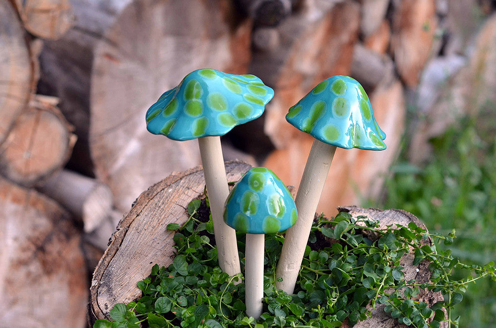 Turquoise Turtle - Plum Scrumptious - 4